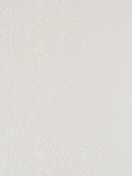 Wit klassiek reliëf behang BN Wallcoverings