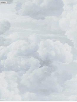 Wolken behang lichtgrijs 106 cm breed AS Creation Pacifica
