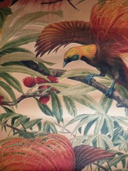 Alternative view of Tropisch vogels behang luxe – AS Creation 6954-37