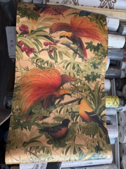 Tropisch vogels behang AS Creation 6954-37 rol